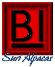 B I Bar Ranch Store